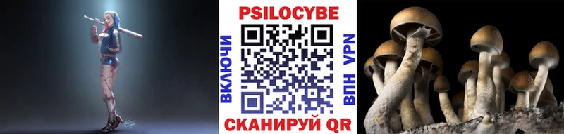 Псилоцибиновые грибы мицелий  KRAKEN сайт  Хасавюрт 