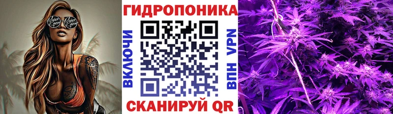 Бошки марихуана AK-47 Хасавюрт